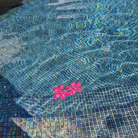 With Air-conditioned Pool, 15 Minutes From Beaches And Montpellier Villa